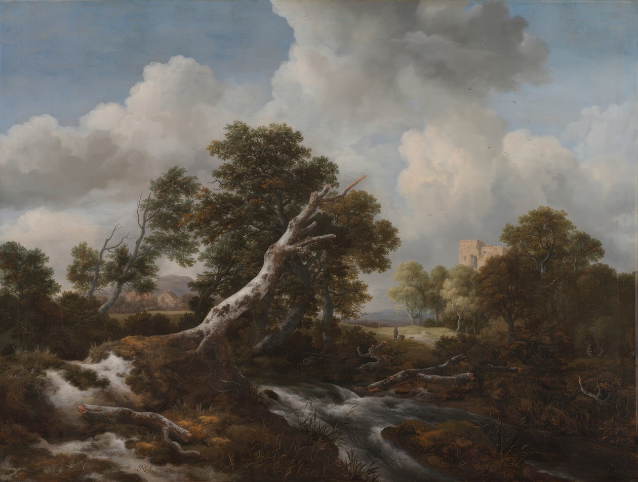 Cascata bassa in un paesaggio boschivo con un faggio morto da Jacob van Ruisdael
