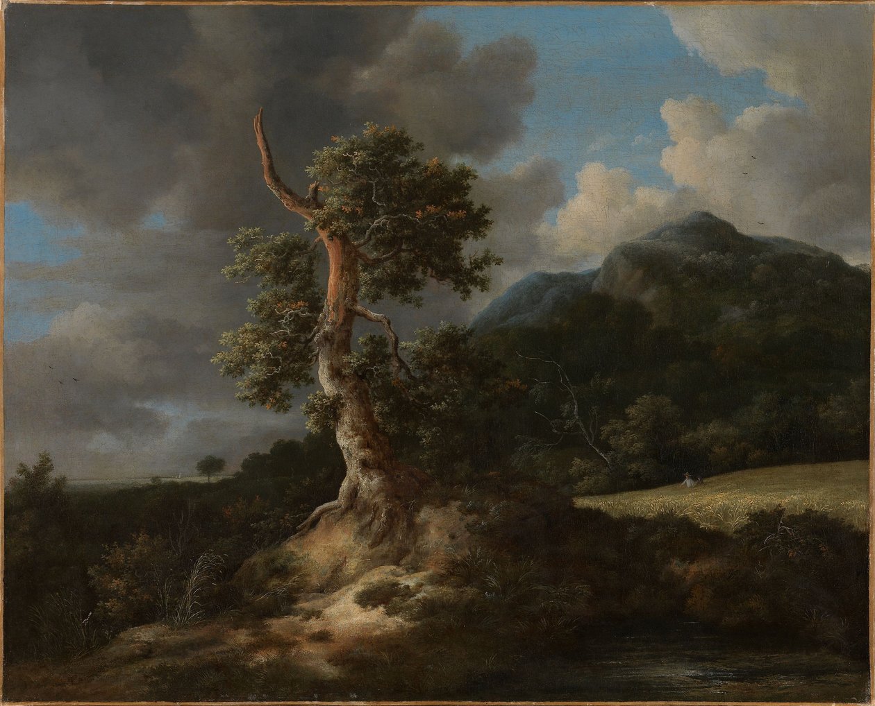 Paesaggio montano con una quercia abbattuta da Jacob van Ruisdael