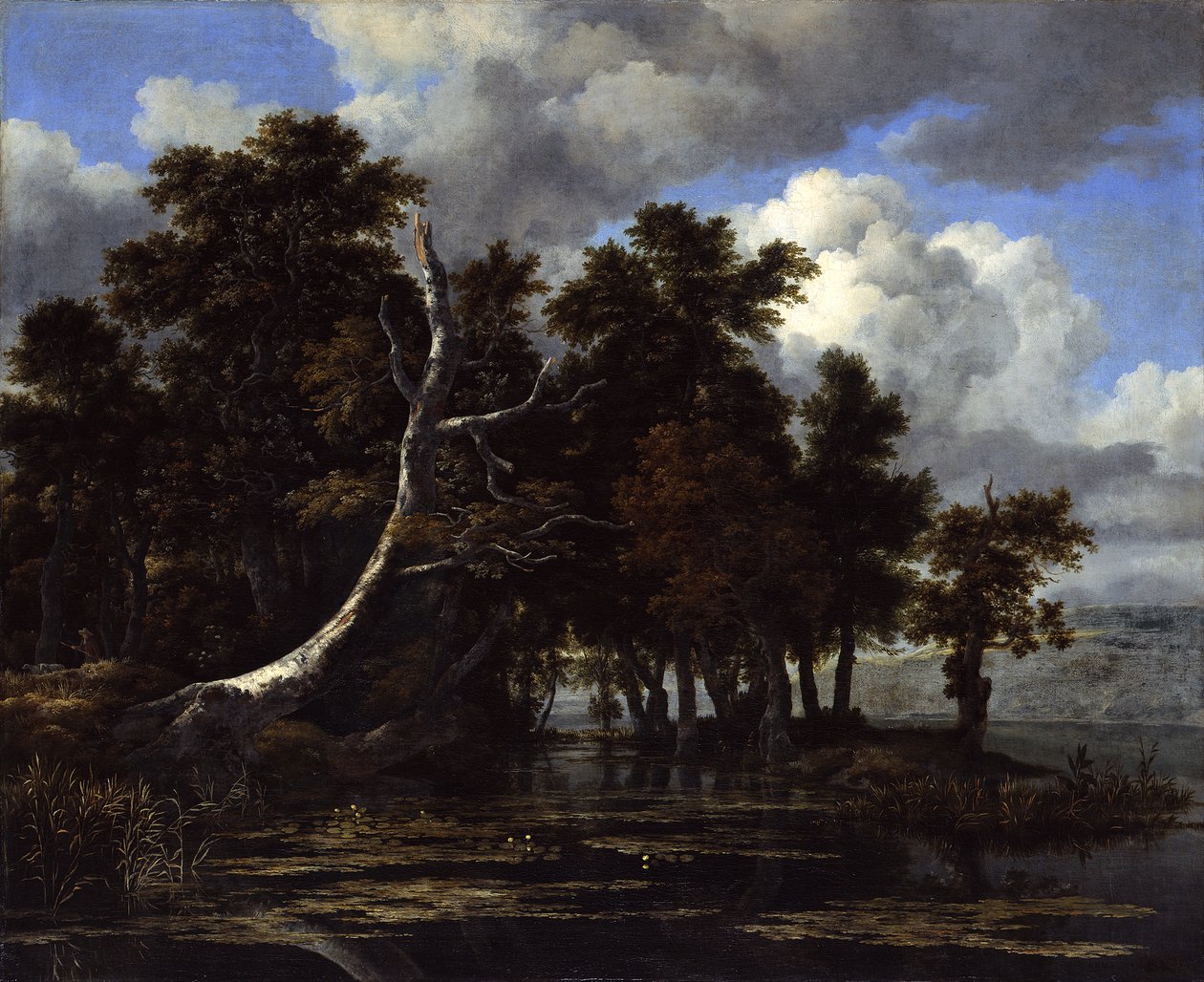 Querce su un lago con ninfee da Jacob van Ruisdael