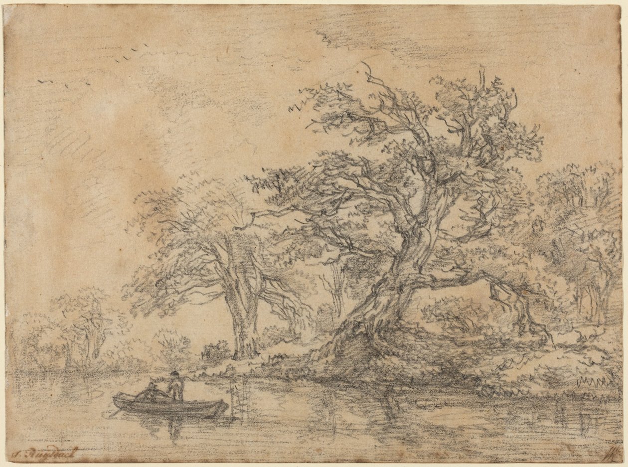 Vecchi alberi lungo una riva da Jacob van Ruisdael
