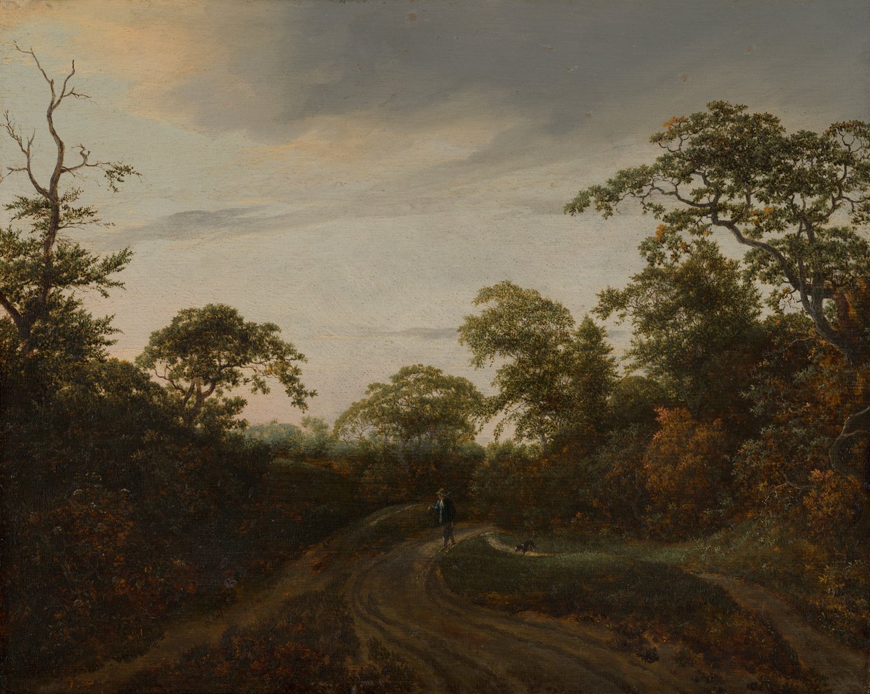 Strada attraverso un paesaggio boscoso al crepuscolo da Jacob van Ruisdael