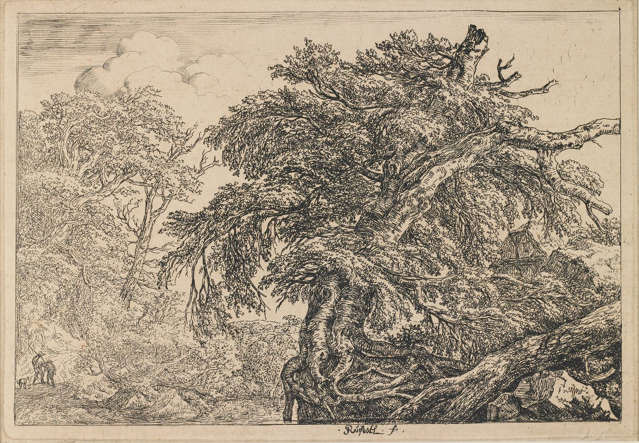 Il grande faggio, con due uomini e un cane da Jacob van Ruisdael