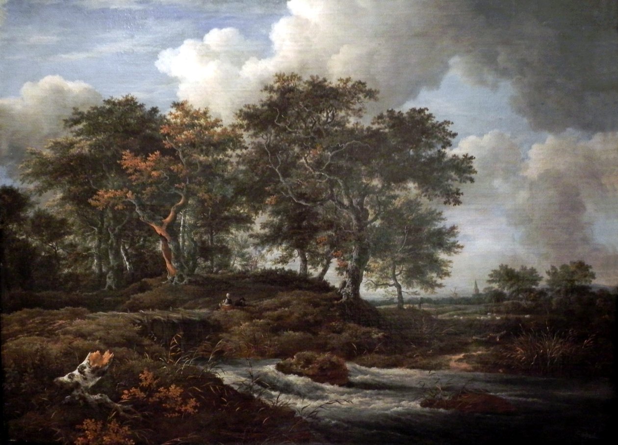Torrente con querce da Jacob van Ruisdael