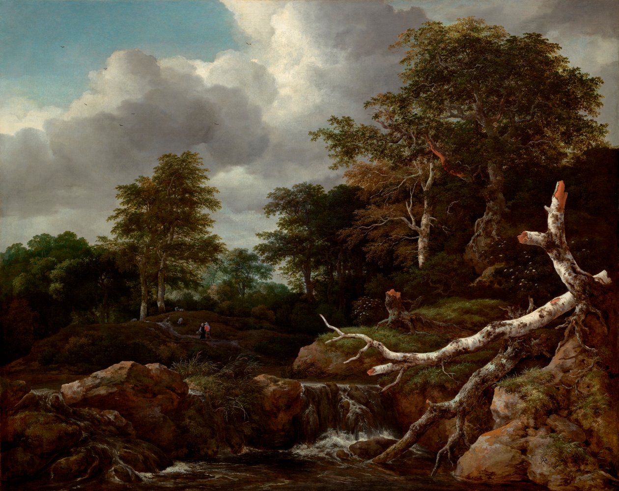 Scena di bosco da Jacob van Ruisdael