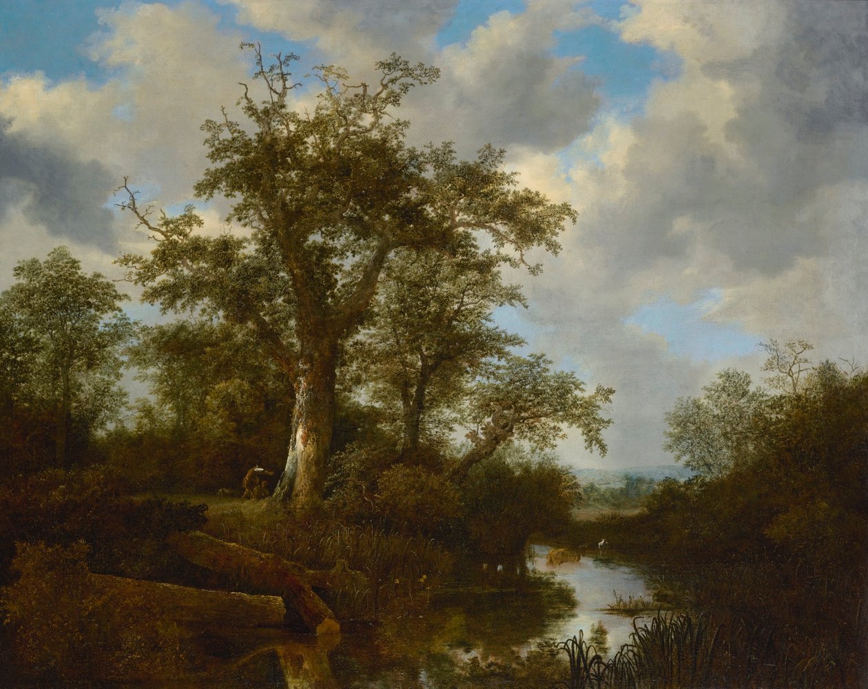 Paesaggio boscoso con bestiame che attraversa un ruscello da Jacob van Ruisdael