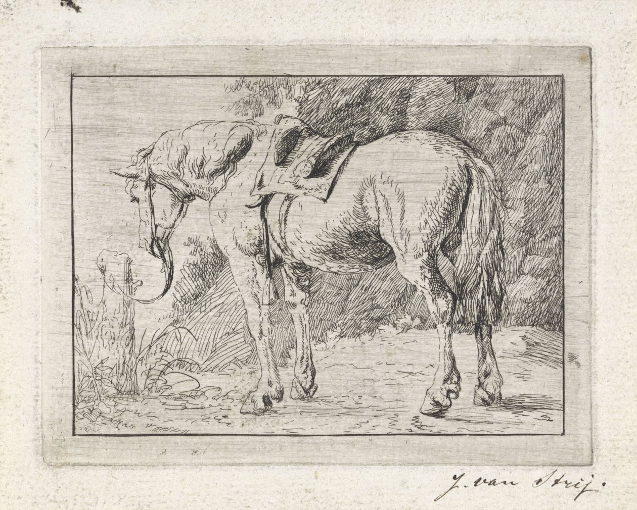 Cavallo sellato legato a un palo da Jacob van Strij