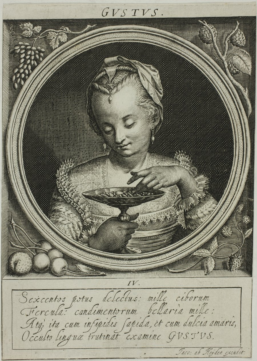 Gusto, quarto piatto da I cinque sensi da Jacob van der Heyden