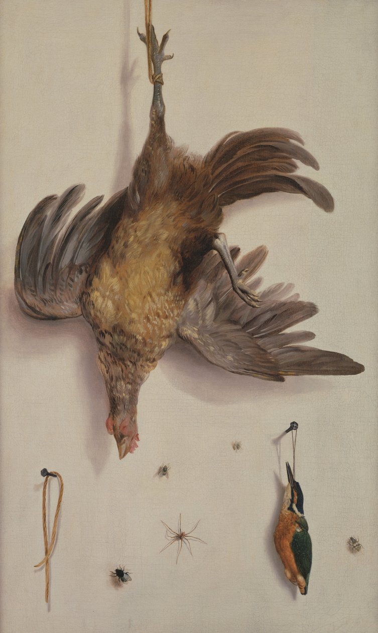 Una gallina e un martin pescatore appesi a un filo da Jacobus Biltius