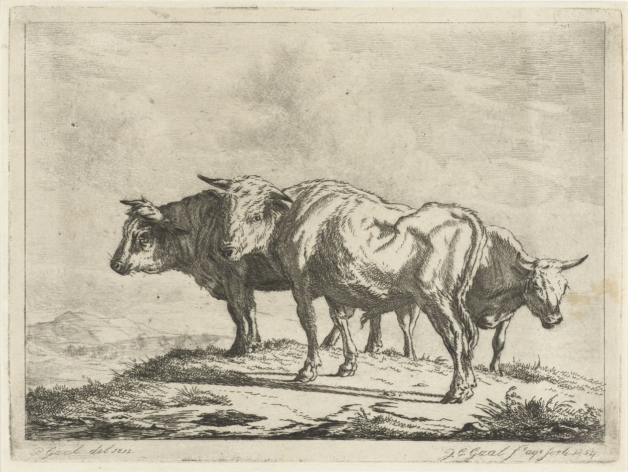 Tre buoi da Jacobus Cornelis Gaal