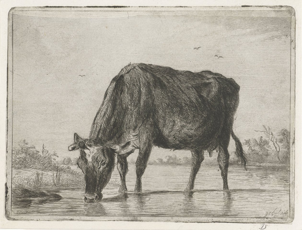 Mucca che beve da Jacobus Cornelis Gaal