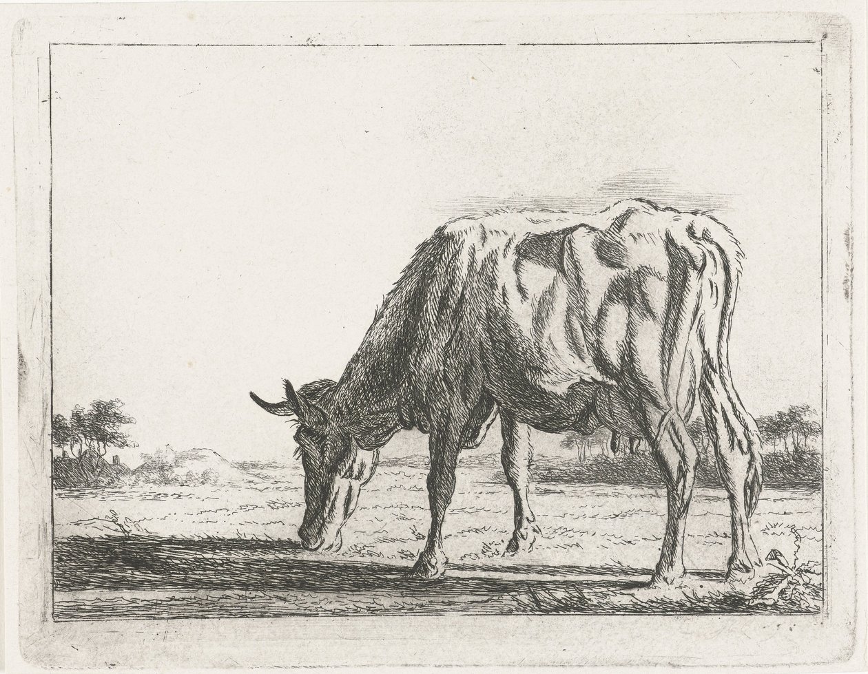 Mucca al pascolo da Jacobus Cornelis Gaal