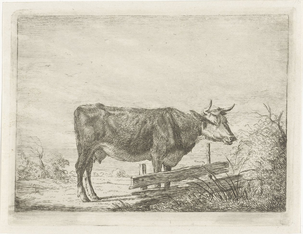Mucca, in piedi vicino a una recinzione da Jacobus Cornelis Gaal
