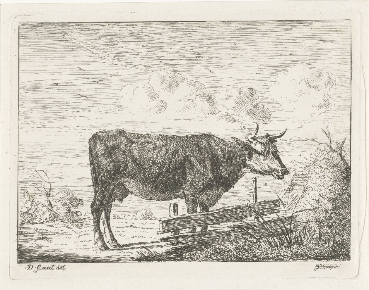 Mucca, in piedi vicino a un recinto da Jacobus Cornelis Gaal