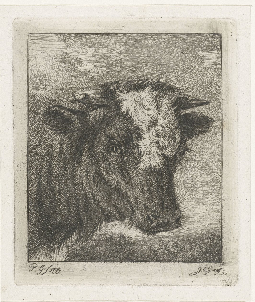 Testa di una mucca con macchia bianca da Jacobus Cornelis Gaal