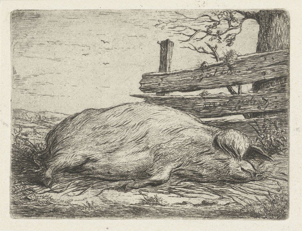 Cinghiale sdraiato da Jacobus Cornelis Gaal