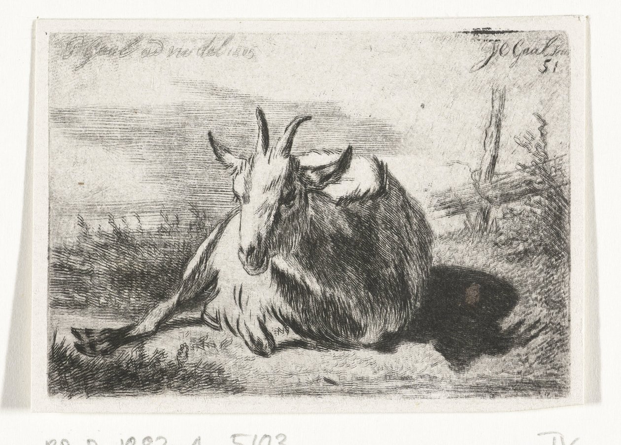 Capra sdraiata, verso sinistra da Jacobus Cornelis Gaal