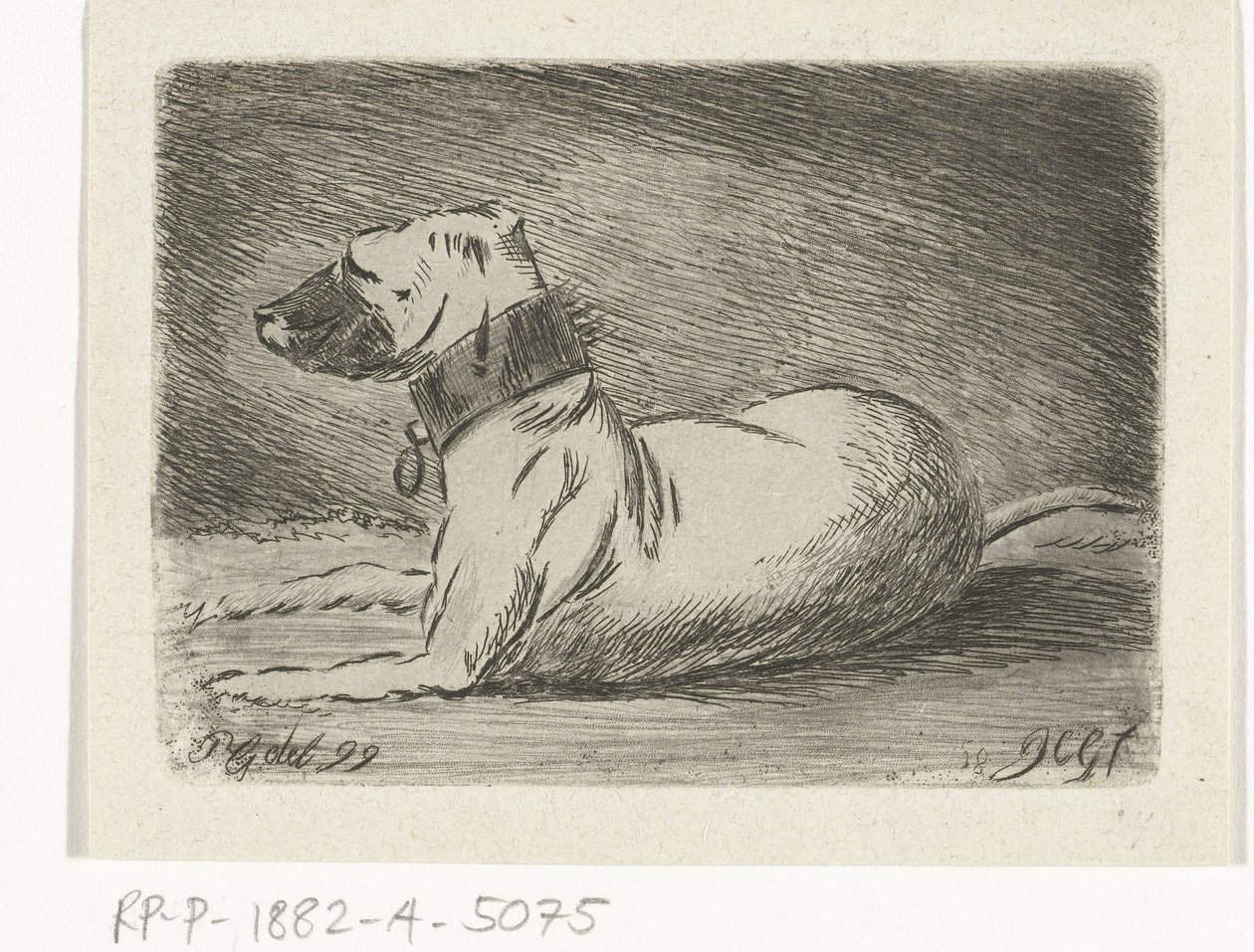 Cane sdraiato con collare da Jacobus Cornelis Gaal