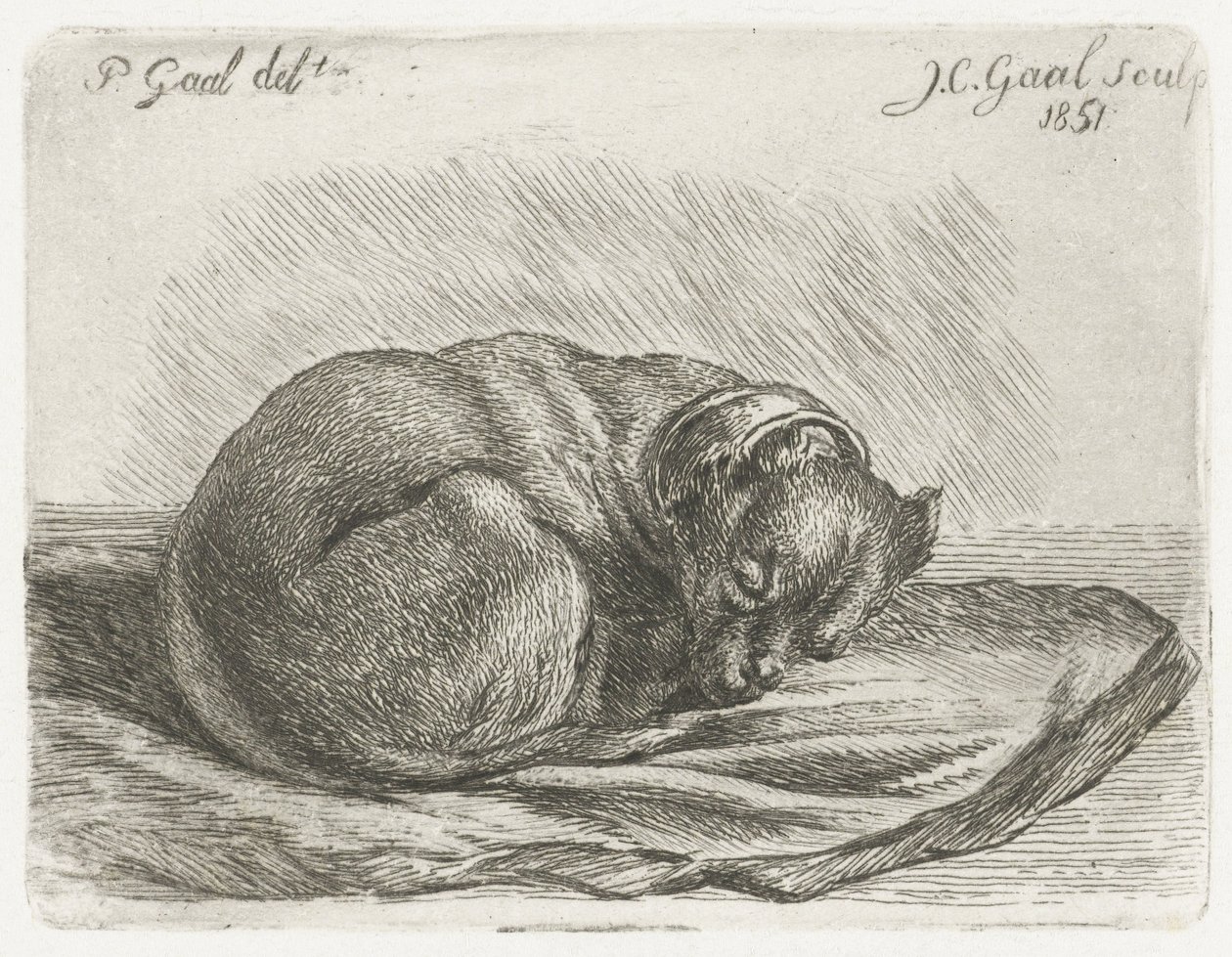 Cane addormentato su una coperta da Jacobus Cornelis Gaal