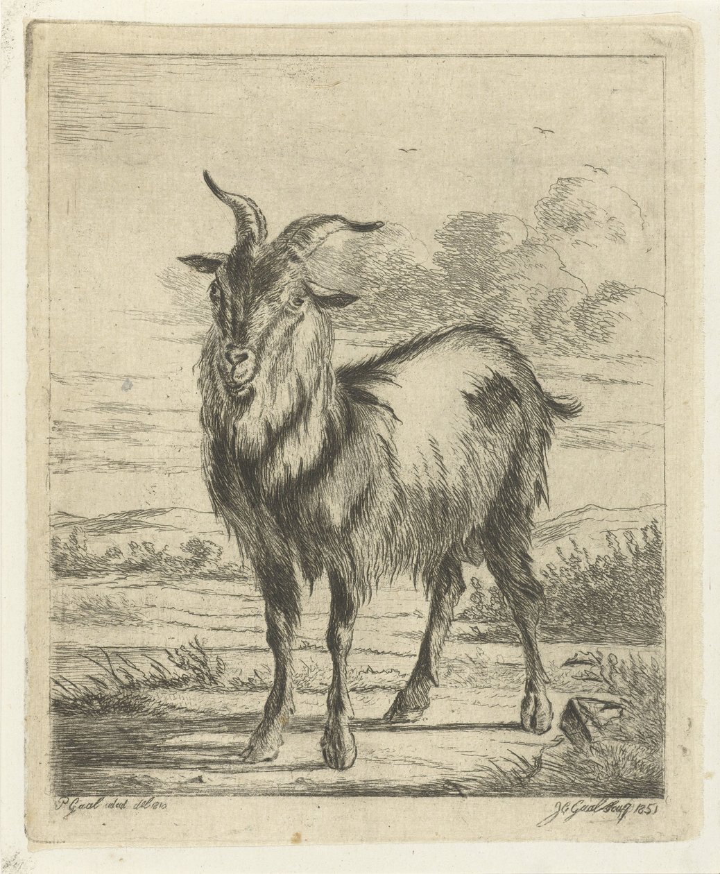 Capra in piedi da Jacobus Cornelis Gaal