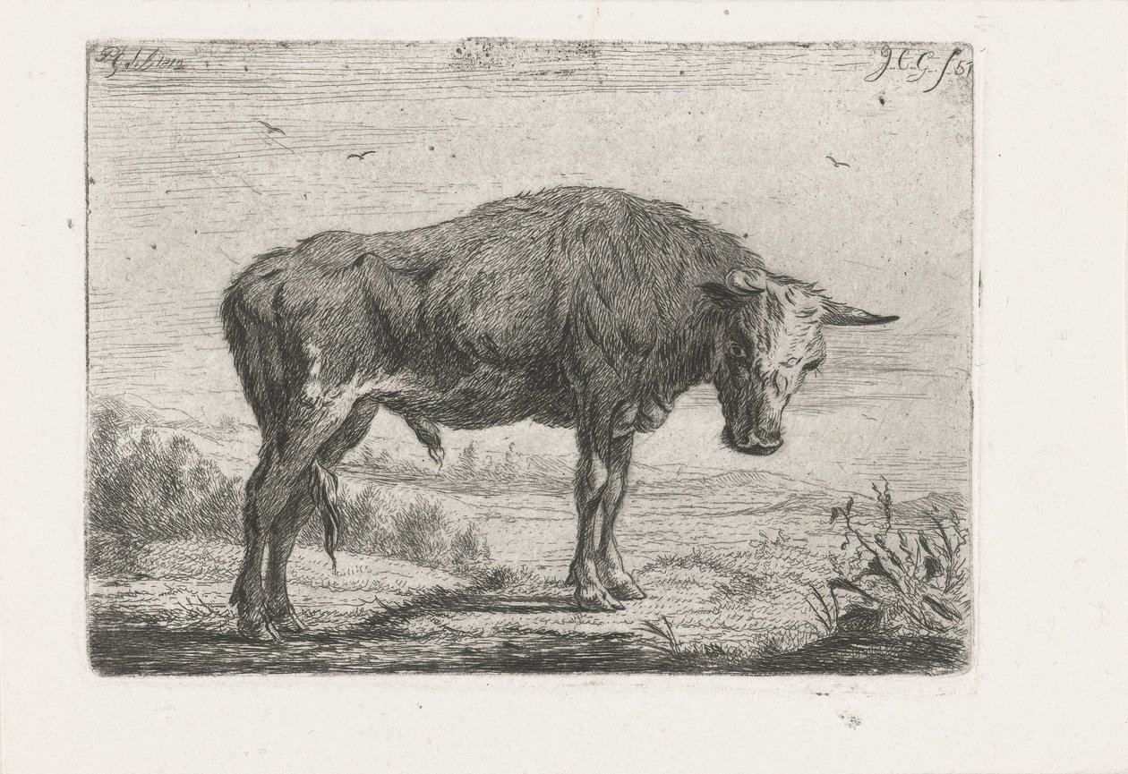 Toro in piedi da Jacobus Cornelis Gaal
