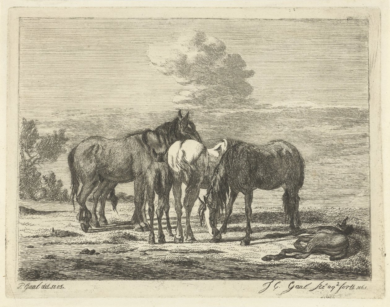Quattro cavalli e due puledri da Jacobus Cornelis Gaal