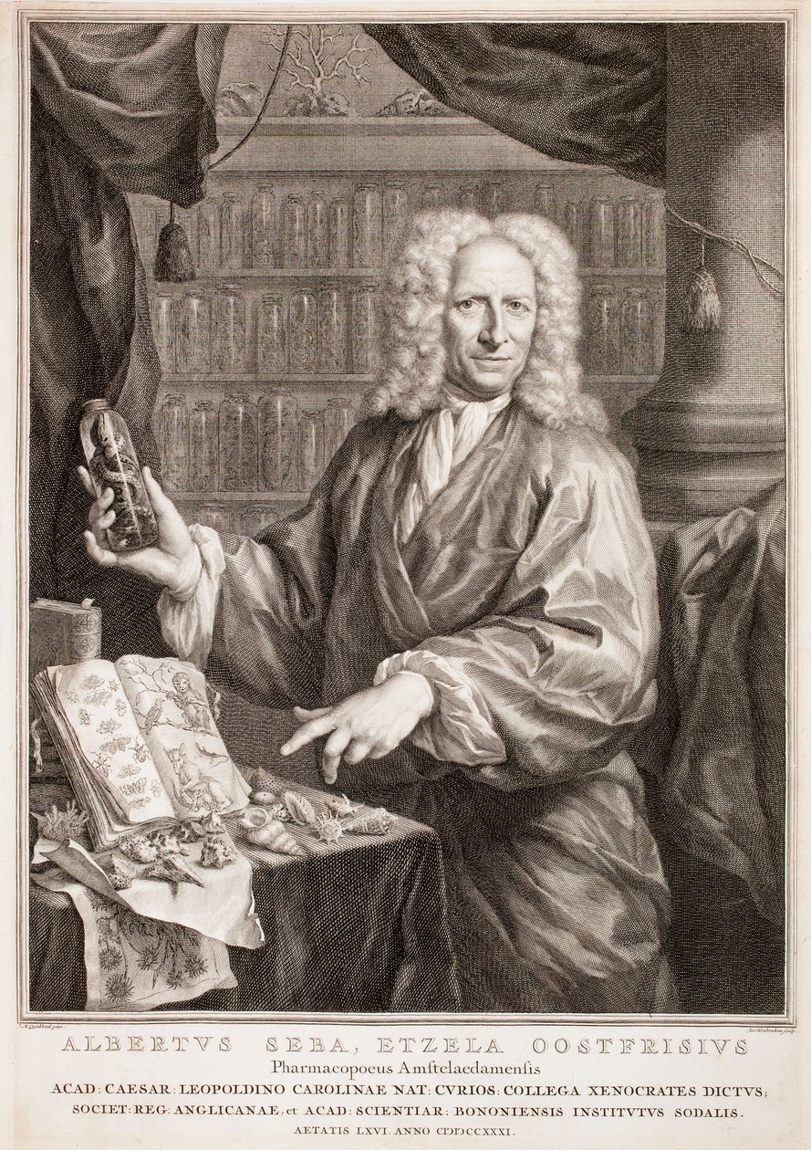 Ritratto di Albertus Seba, da Jan Maurits Quinkhard da Jacobus Houbraken