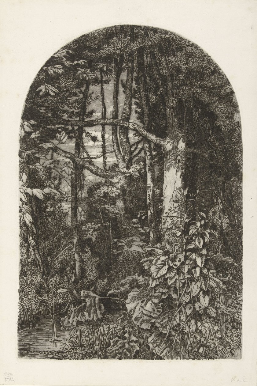 Bosco con ruscello da Jacobus Ludovicus Cornet
