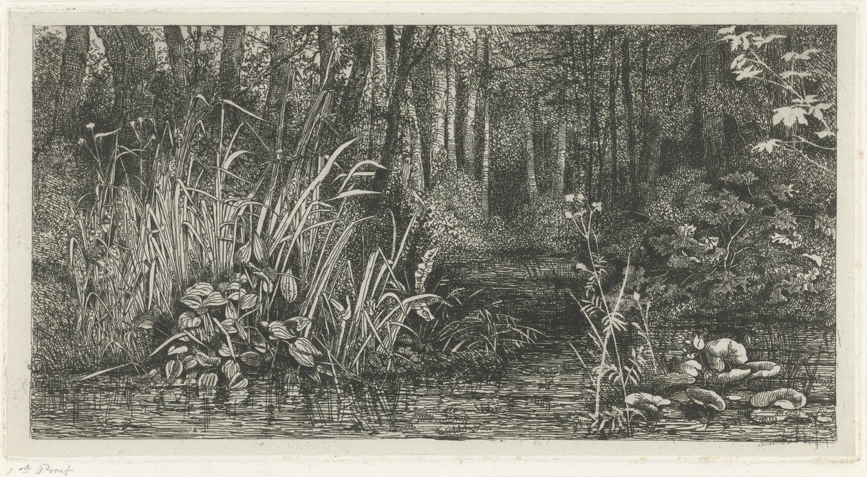 Ruscello nel bosco da Jacobus Ludovicus Cornet