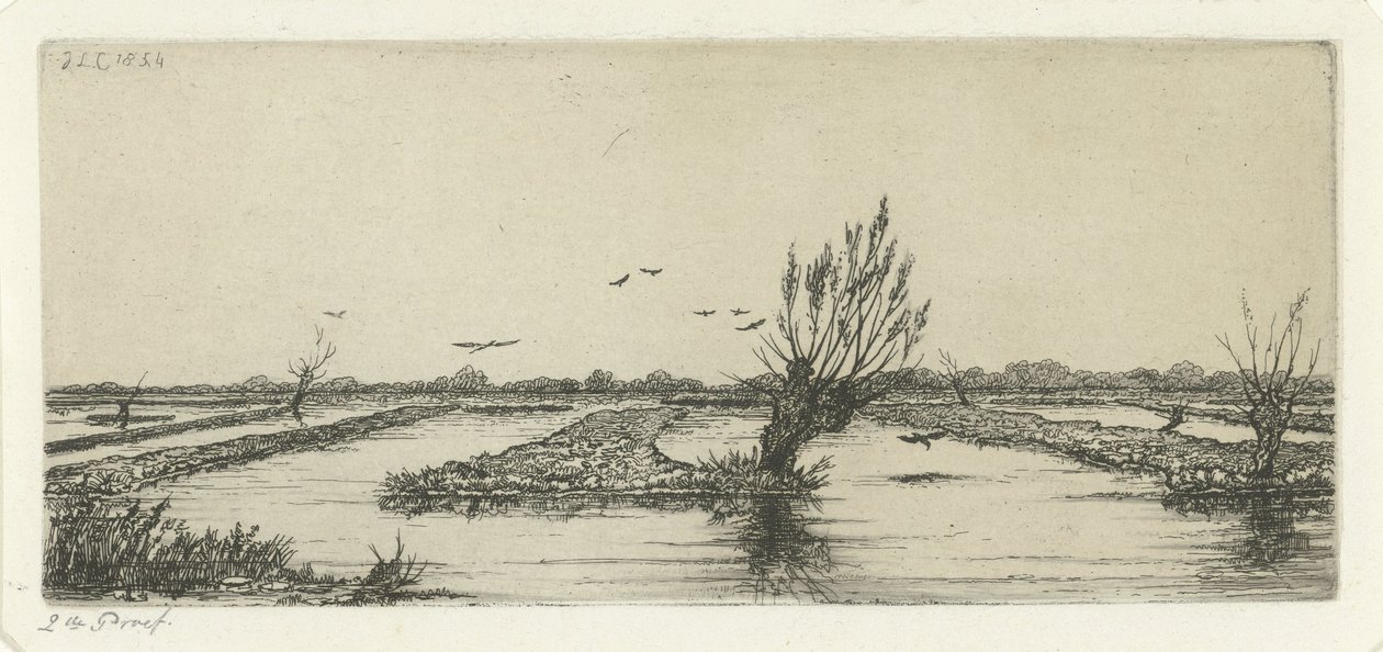 Palude da Jacobus Ludovicus Cornet