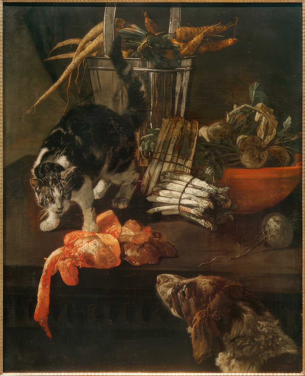 Cucina con cane e gatto da Jacobus Victors