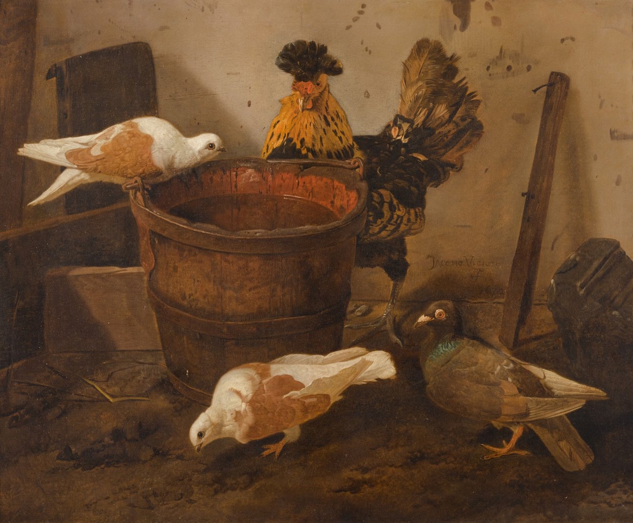 Tre piccioni e un gallo vicino a un secchio d