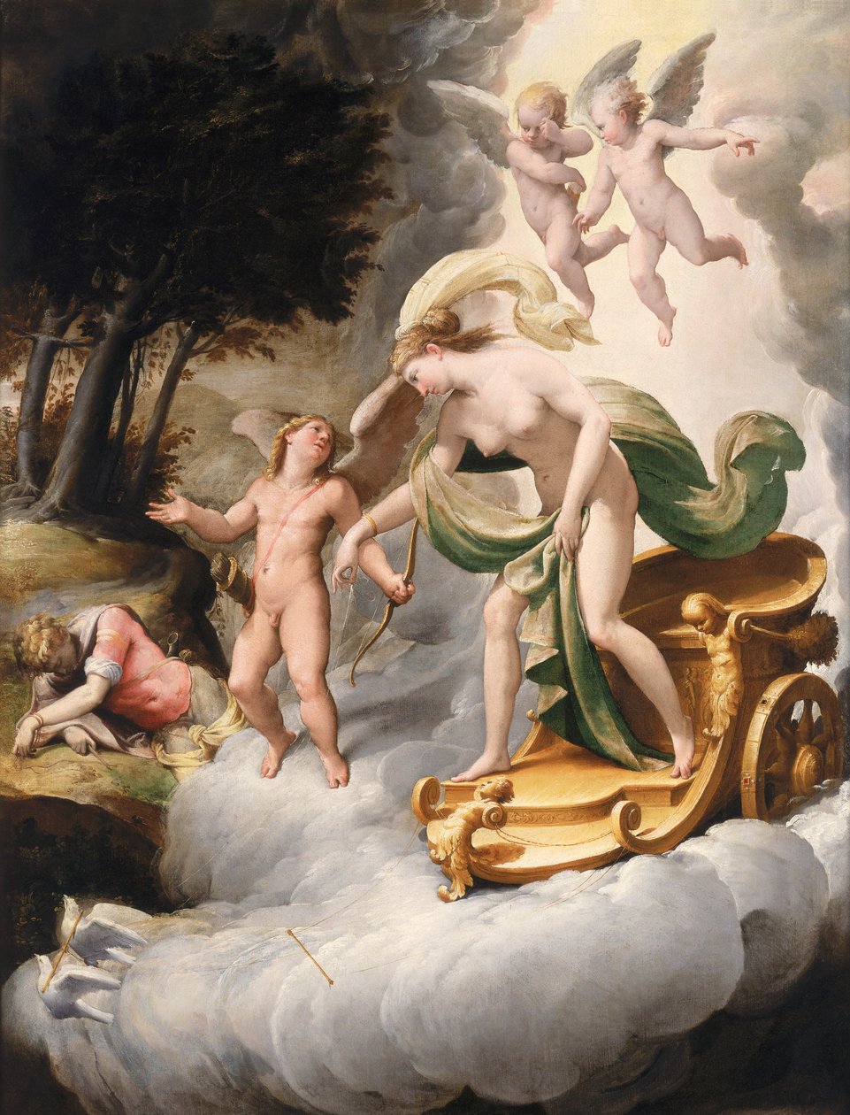 Venere condotta da Cupido al morto Adone da Jacopo Ianguidi Bertoia