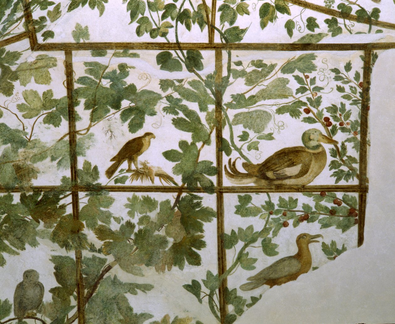 Affresco di un aviario nella Villa Medici, c.1576-77 da Jacopo Zucchi