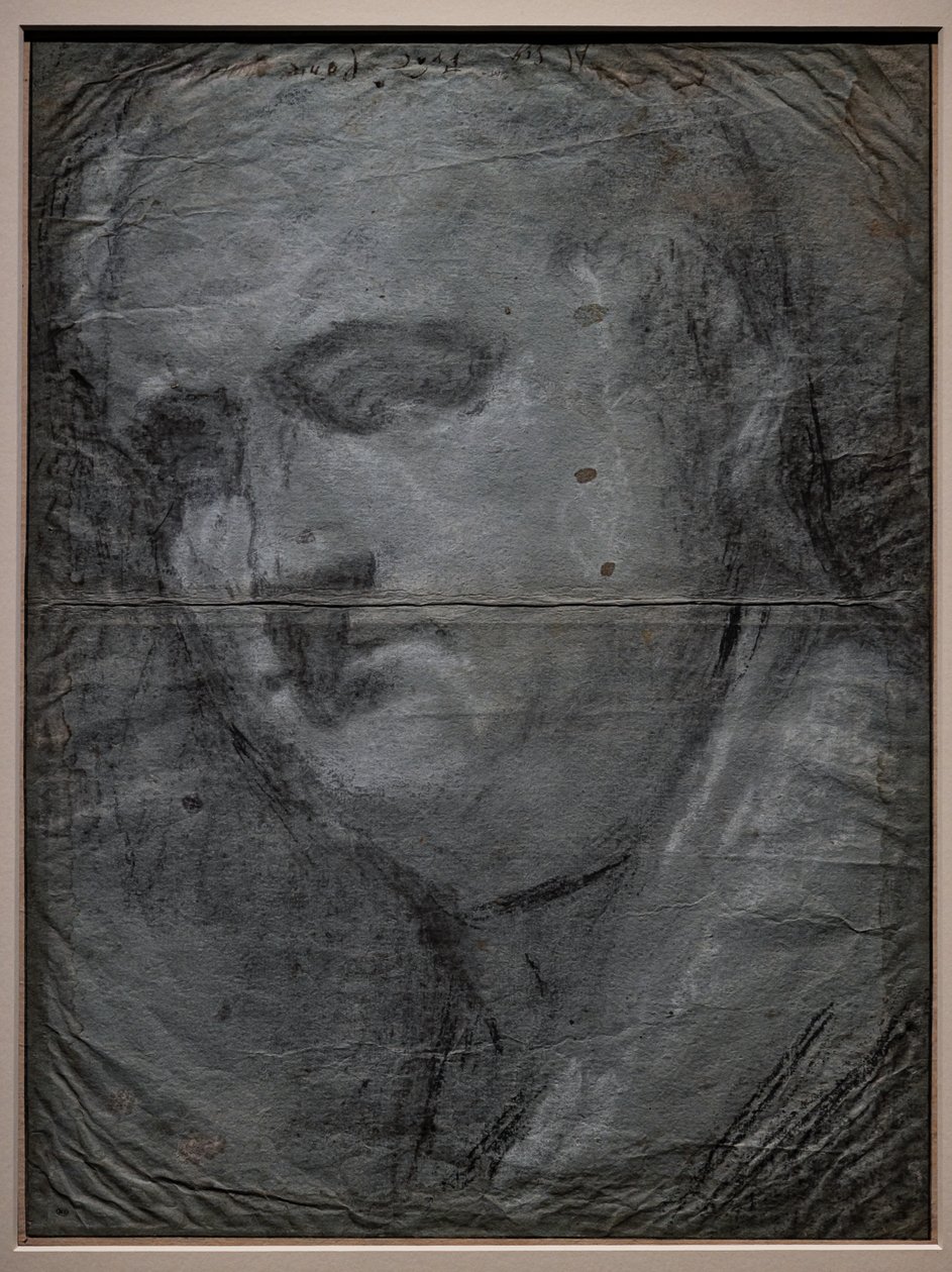 Ritratto di Vitellio Grimani da Jacopo (1510 92) Bassano