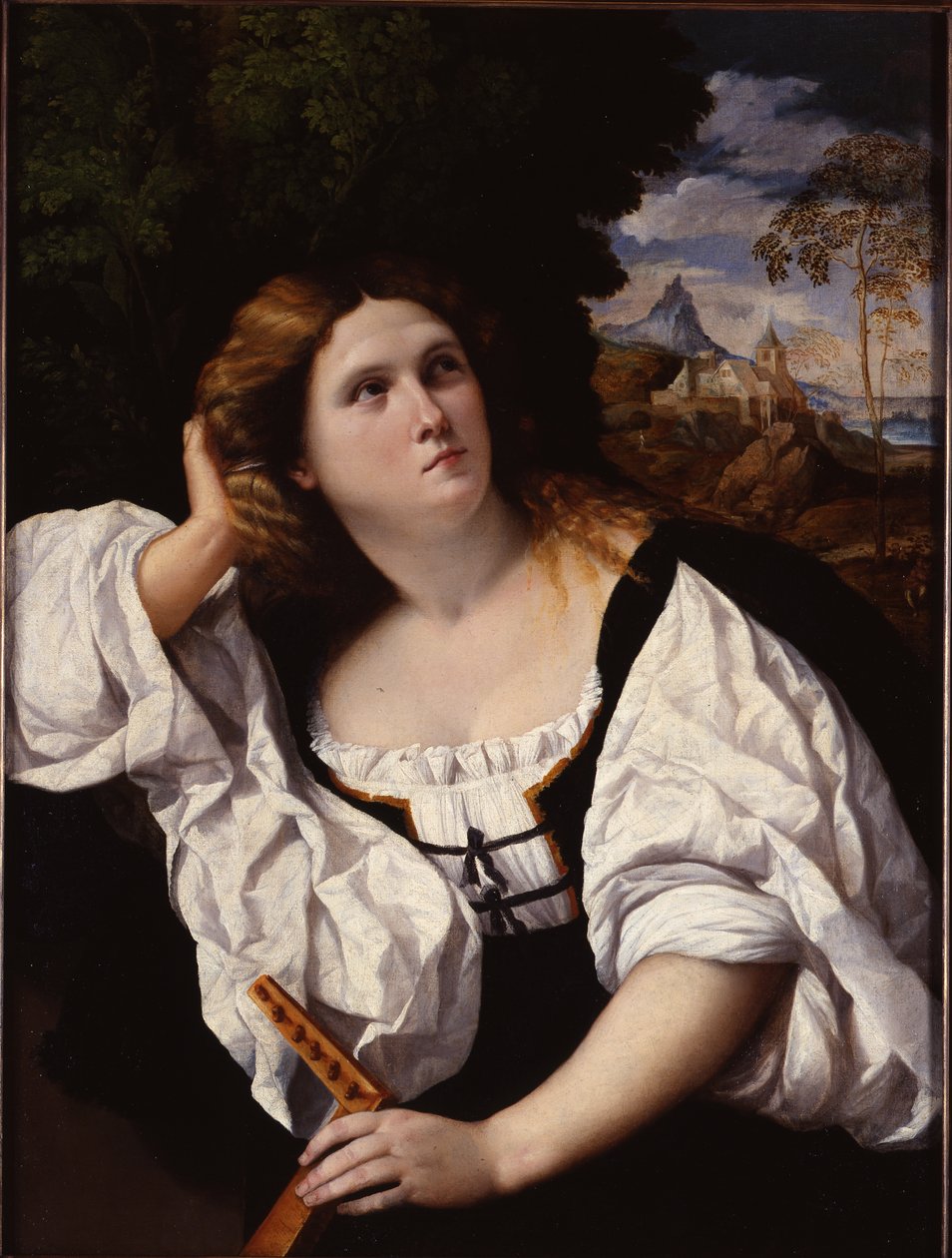 Una signora seduta da Jacopo (c.1480-1528) Palma