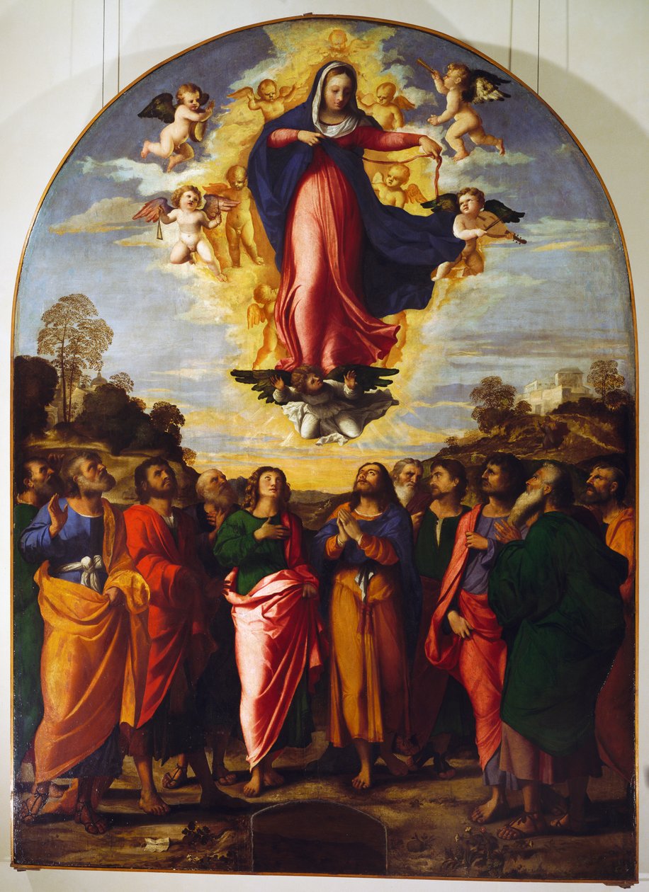 Assunzione della Vergine da Jacopo (c.1480 1528) Palma