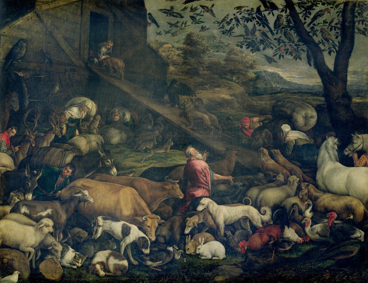 Animali che entrano nell