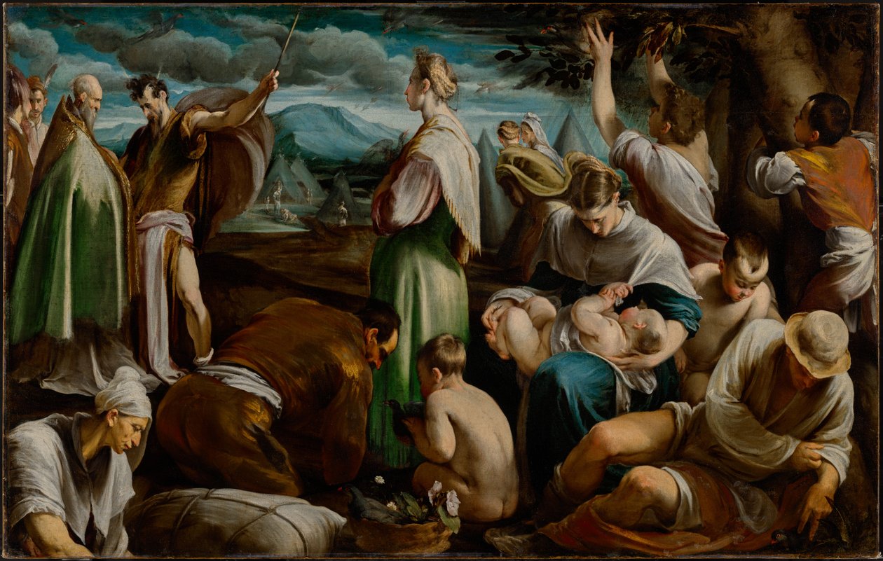 Il miracolo delle quaglie da Jacopo Bassano
