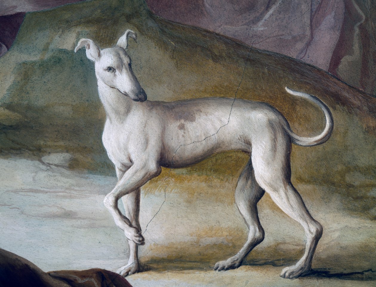 Cane, (dettaglio) da un affresco di Jacopo Guarana (1720-1808), sala centrale di Villa Contarini, Valnogaredo, Veneto, Italia da Jacopo Guarana