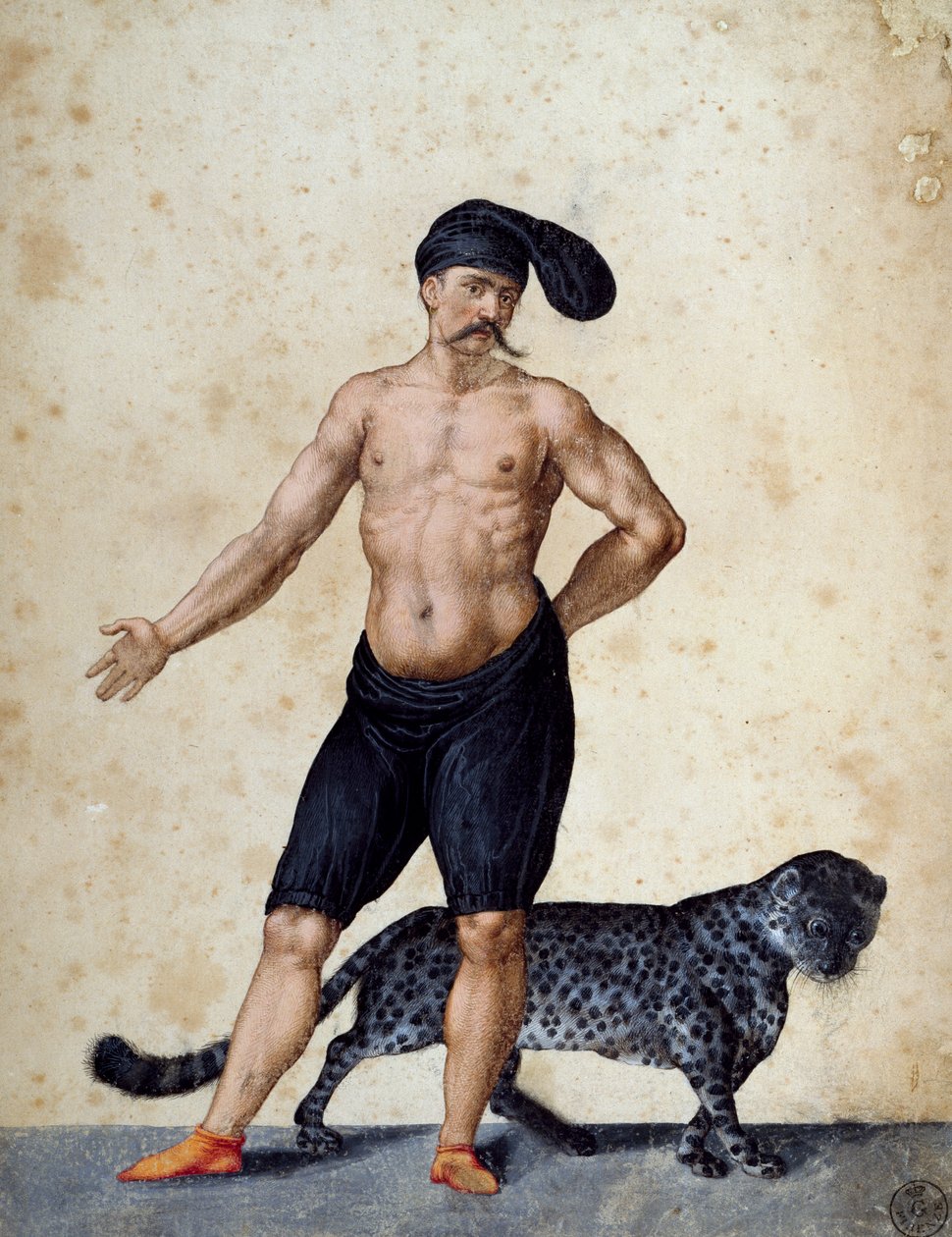 Giovane africano in piedi davanti, mezzo vestito con lunga berretta sulla testa, con tigre dietro di lui, disegno di Jacopo Ligozzi (1547-1627) da Jacopo Ligozzi