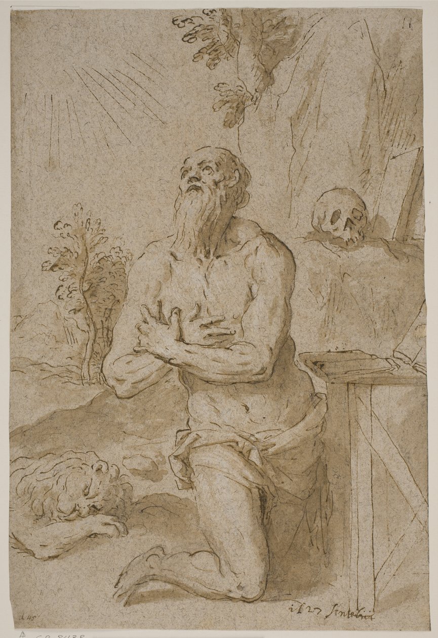 San Girolamo nel deserto da Jacopo Palma