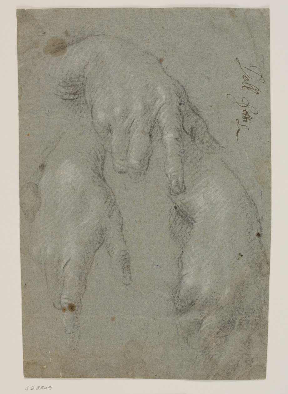 Tre studi di una mano destra da Jacopo Palma