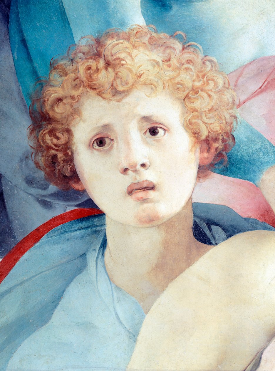 Volto di giovane uomo, dettaglio della Deposizione, di Jacopo da Pontormo (1494-1557) da Jacopo Pontormo