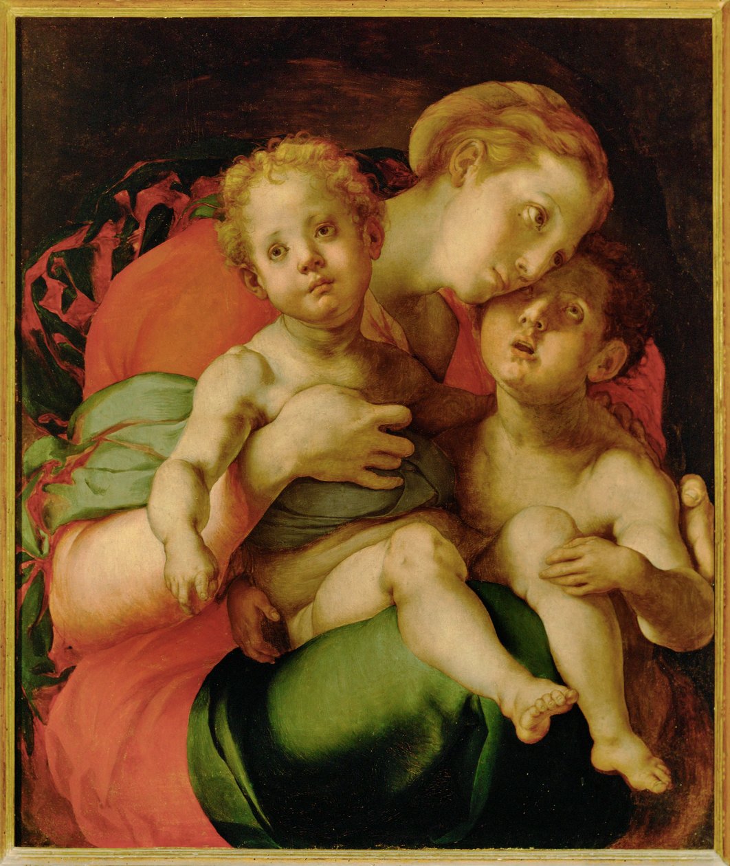 Madonna, Gesù bambino e il giovane San Giovanni Battista (dipinto su tavola) da Jacopo Pontormo