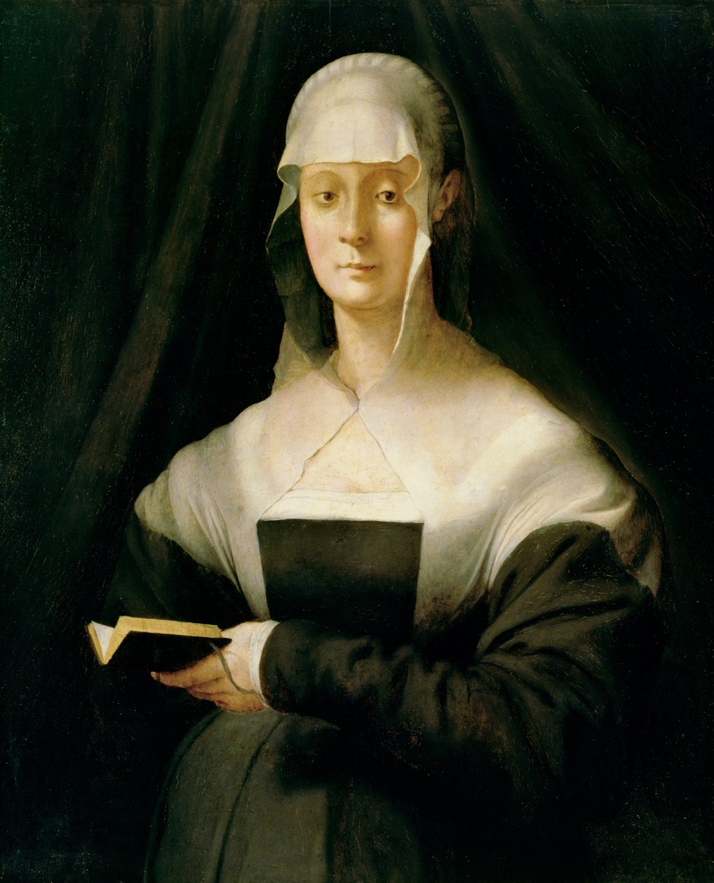 Ritratto di Maria Salviati, 1543 da Jacopo Pontormo
