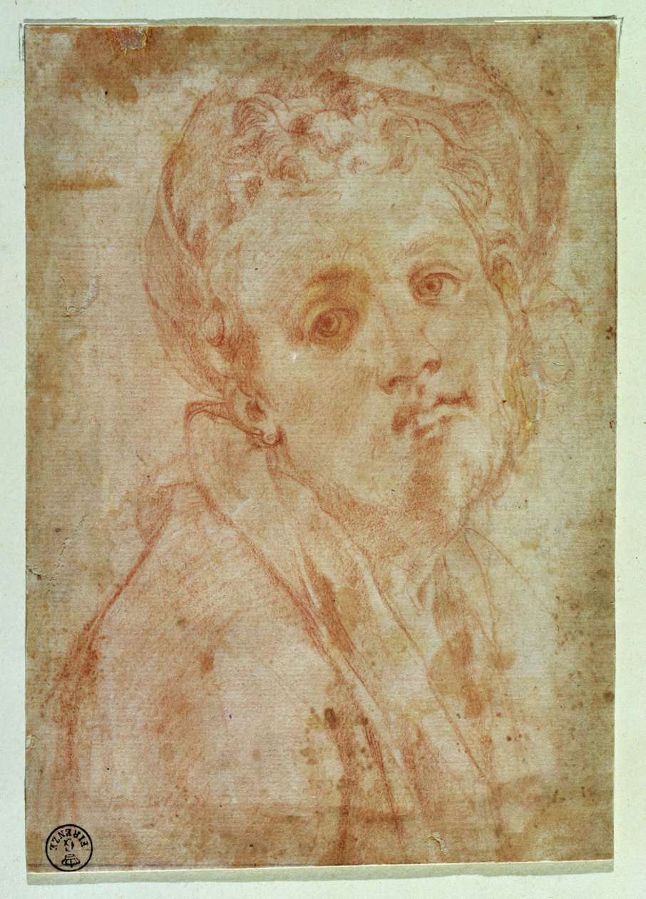 Autoritratto da Jacopo Pontormo