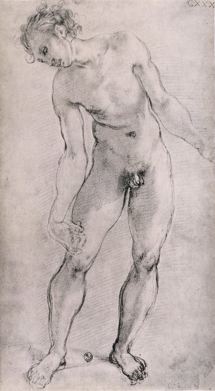 Studio di una figura maschile per l