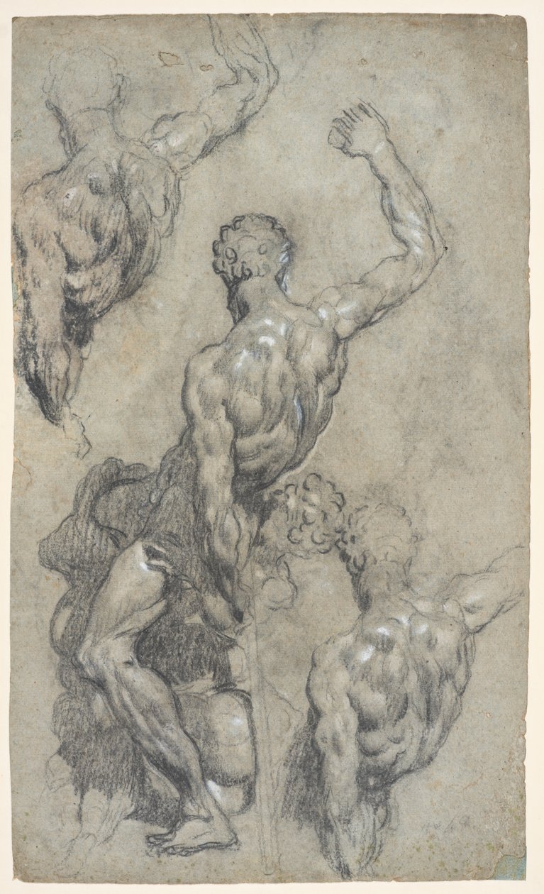 Studi del "Sansone e i Filistei" di Michelangelo, c.1575-1585 da Jacopo Robusti (workshop of) Tintoretto