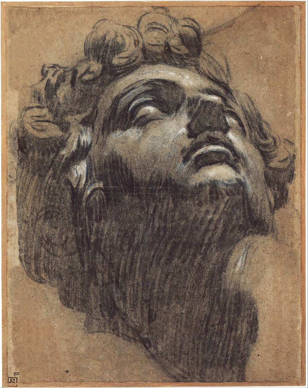 Testa di Giuliano de