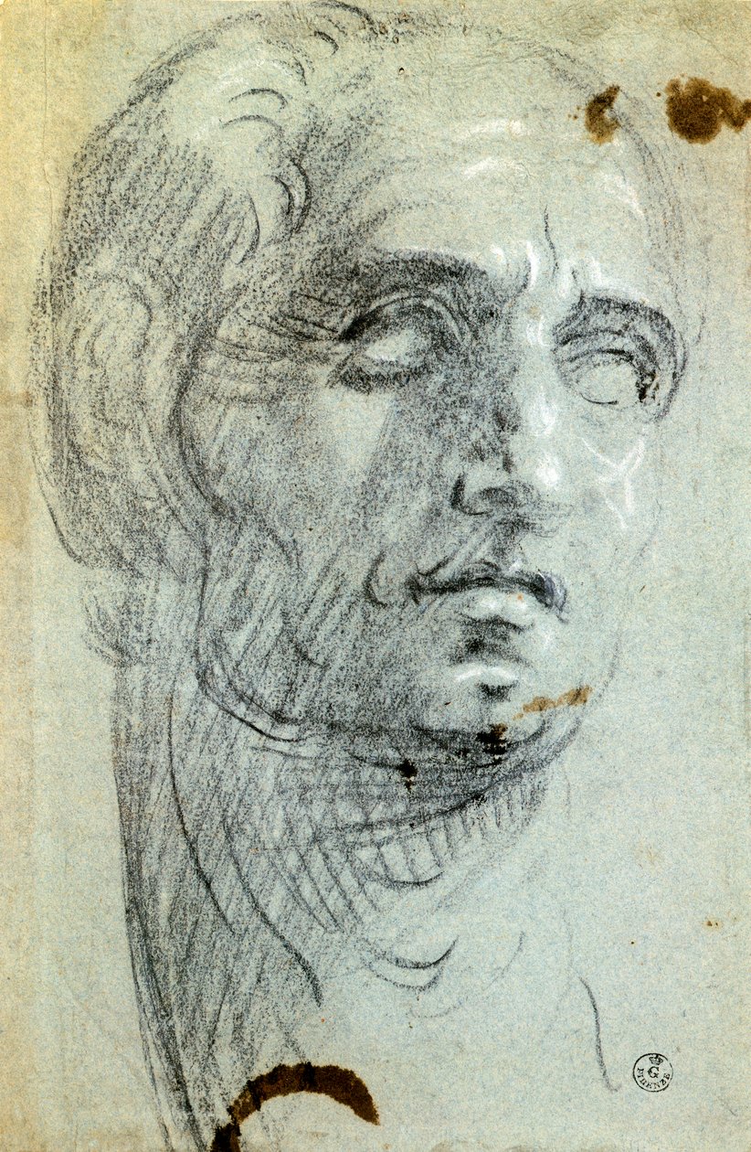 Testa maschile da Jacopo Robusti Tintoretto